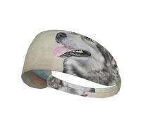 Dessin de Portrait de Chien Malamute d'Alaska,Bandeau de Sport Unisexe, Bandeau élastique Multi-usages pour Cheveux