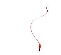 Dessine-Moi Une Ligne