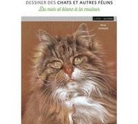 Dessiner des chats et autres félins Wim Verhelst (Auteur)