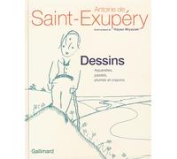 Dessins Aquarelles, pastels, plumes et crayons - Antoine de Saint-Exupéry - Gallimard - broché - Beau livre