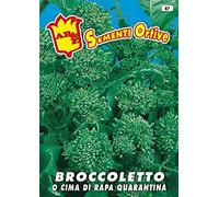Dessus de navet, brocoli quarantaine précoce, semence en enveloppe