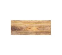vidaXL Dessus de table 70x30x3,8 cm rectangulaire Bois massif manguier Multicolore