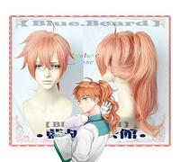 Destin d'anime/Grand ordre Romani Archaman Dr Roman docteur Cosplay perruque + casquette de perruque gratuite