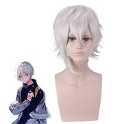 Destin Grand ordre Kadoc Zemlupus argent blanc perruque courte Cosplay Costume FGO résistant à la chaleur cheveux synthétiques hommes femmes Cosplay perruques PL-130