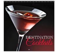 Destination cocktails (Calendrier mural carré 2026 30x30 cm) Calendrier double avec une page pour vos prises de notes: Quoi de mieux qu'un bon cocktail.