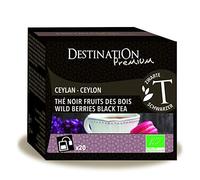 Destination Infusettes Thé Noir Fruit des Bois Ceylan x 20 40 g