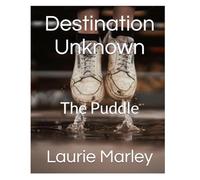 Destination Unknown: The Puddle (Illustrate This Book)