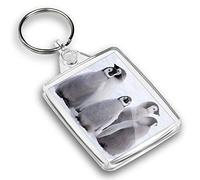 Destination Vinyl ltd 1 porte-clés photo - Cinq poussins empereur pingouin Antarctique |porte-clés | breloque | #45027