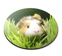 Destination Vinyl Ltd #63074 Tapis de souris rond en caoutchouc souple avec motif cochon d'Inde dans l'herbe 5 mm