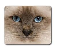 Destination Vinyl ltd Confortable Tapis de Souris - Blue Eyed Cat Chaton Birman 23,5 x 19,6 cm (9,3 x 7,7 Pouces) pour Ordinateur et Portable, Bureau, Cadeaux, Base antidérapante - RM14552