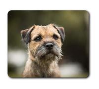 Destination Vinyl ltd Confortable Tapis de Souris - Brown Border Terrier Dog Puppy23.5 x 19,6 cm (9,3 x 7,7 Pouces) pour Ordinateur et Portable, Bureau, Cadeaux, Base antidérapante - RM15940