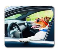 Destination Vinyl ltd Confortable Tapis de Souris - Cool Jack Russell Dog x 23,5 Passager 19,6 cm (9,3 x 7,7 Pouces) pour Ordinateur et Portable, Bureau, Cadeaux, Base antidérapante - RM24487