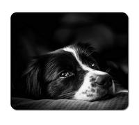 Destination Vinyl Ltd Tapis de Souris Border Collie - Chiot de la Ferme, Moutons, Chien Fermier, Ordinateur #8639