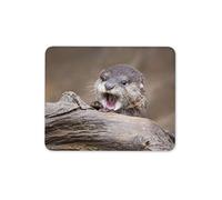 Destination Vinyl Mats Bébé Loutre Tapis de Souris Pad - Nature Wild Animal Mignon drôle d'ordinateur Cadeau # 16433