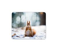 Destination Vinyl Mats Écureuil Roux Mignon Tapis de Souris Tapis - Forêt Forrest Animal Sauvage PC Ordinateur # 8491