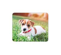 Destination Vinyl Mats Jack Russell Terrier Chiot Tapis de Souris Tapis - Chien Mignon bébé d'ordinateur Cadeau # 15879