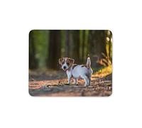 Destination Vinyl Mats Jack Russell Terrier Chiot Tapis de Souris Tapis - Forêt Dog Walk Computer Gift # 15758