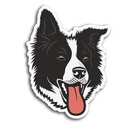 DestinationVinyl 2 x 10 cm Fun Border Collie Chien de Moutons Vinyle Autocollants - Sticker pour Ordinateur Portable Cadeau # 19582 (10cm Grand)