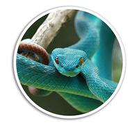 DestinationVinyl 2 x 10 cm Viper Bleu Serpent Autocollants en Vinyle - Autocollant pour Ordinateur Portable Sauvage Bagages # 8295 (10 cm de Large)