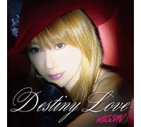 Destiny Love/Stay in My Heart [Import allemand]