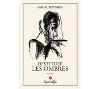 Destituer les ombres - Pascal Meysson - Spinelle Eds - broché - Roman