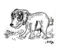 Destroy All Monsters Ken Hollings (Auteur)