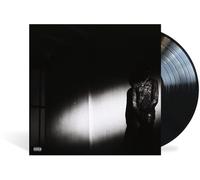 Destroy Lonely – No Stylist – Vinyle LP – Explicite