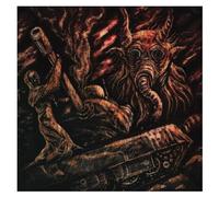 Destroying The Spirit - Vinyle