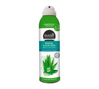 Destructeur d'odeurs Boldair Menthe & Aloe vera - Aérosol 250 ml
