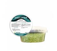 Destructeur d'odeurs et puissant désodorisant en poudre solide - Pot 295ml - Citron