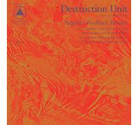 CD Résistance DESTRUCTION UNIT - Résistance de rétroaction négative