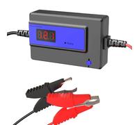 Désulfateur Automatique de Batterie pour Batteries Plomb-Gel AGM SLA, 200AH, 12-48V (Blue)