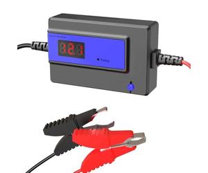 Désulfateur Automatique de Batterie pour Batteries Plomb-Gel AGM SLA, 200AH, 12-48V (Blue)