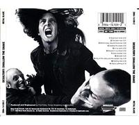 Desultory - Swallow The Snake [Import]