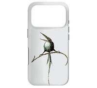 Détail de « The Garden of Earthly Delights » Coque pour iPhone 17 Pro
