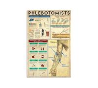 Detailed Arm Veins Anatomy Metal Wall Decor Phlebotomy Study Reference Chart for Nurses Clinical Healthcare Education 8 X 12 in