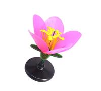 Détaillé dissessible Aide à l'enseignement des fleurs artificielles pour l'anatomie Leçons des plantes du lycée et des laboratoires scientifiques Démonstration réaliste de fleurs colorées