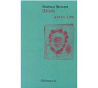 Détails, Apostilles - Précédé D'une Note Du 9 Janvier 1979 - 1982-1997 | Occasion