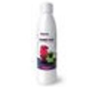 Détartrant pour appareils ménagers Didiesse Bomba Plus 250 ml G
