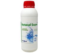 Détartrant Super Concentré pour Piscines - 1L