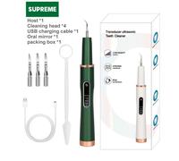 Détartreur Dentaire Électrique À Ultrasons,Nettoyeur De Dents,Élimination De La Pierre,Dissolvant De Plaque Sonique Pour Les Taches De Dents,Tartre,Calcul Filtré - Type Green