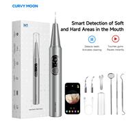 Détartreur dentaire ultrasonique Visible, dissolvant de tartre, 5 modes avec lumière LED, outils de nettoyage des dents domestiques, nettoyeur dentaire, soins buccaux as show