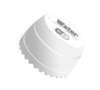 Détecteur de fuite d'eau pour application, alarme d'inondation WiFi avec surveillance à distance, détection d'eau sans fil 2,4 G, batt CR123A