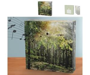 Détecteur de mouvement Soundbox "Forêt" | Plastique carton de 12 x 12 x 3,5 cm | Volume du chant des oiseaux réglable (1 x Soundbox Forêt)