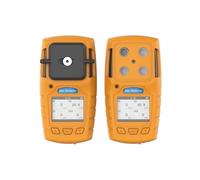 Détecteur Multi-gaz Portable Avec Protection IP64, Alarme De Vibration/son/lumière, Batterie Rechargeable,Instrument de mesure(H2S:0-100ppm)