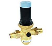 Détendeur basse pression Honeywell D06FN-1LFB en laiton sans plomb, coupelle en acier doux, buse 1"