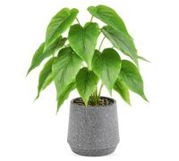 DETENE Plante Artificielle Pot Petite Plante Déco de Bureau 1 Pièce | Feuillage modelable, sans entretien, idéal pour salon, chambre ou étagère, créez une décoration qui vous ressemble.