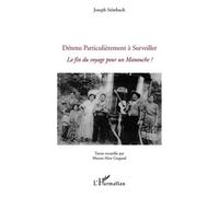 Détenu Particulièrement à Surveiller La fin du voyage pour un Manouche ? - Joseph Stimbach - L'harmattan - broché - Etude