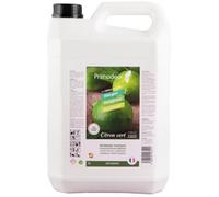 Détergent désinfectant surodorant 3D - citron vert - 5 L