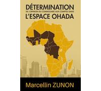 Détermination de l’opinion du commissaire aux comptes dans l’espace OHADA